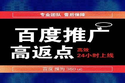百度SEO推广策略：如何快速提升网站排名？——案例详解